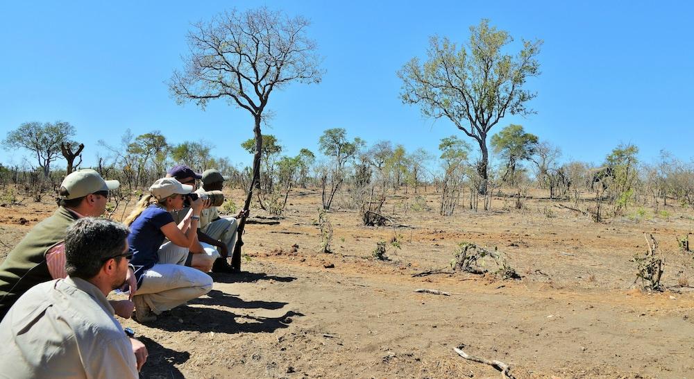 Hoyo Hoyo Safari Lodge Mluwati Concession Exteriör bild