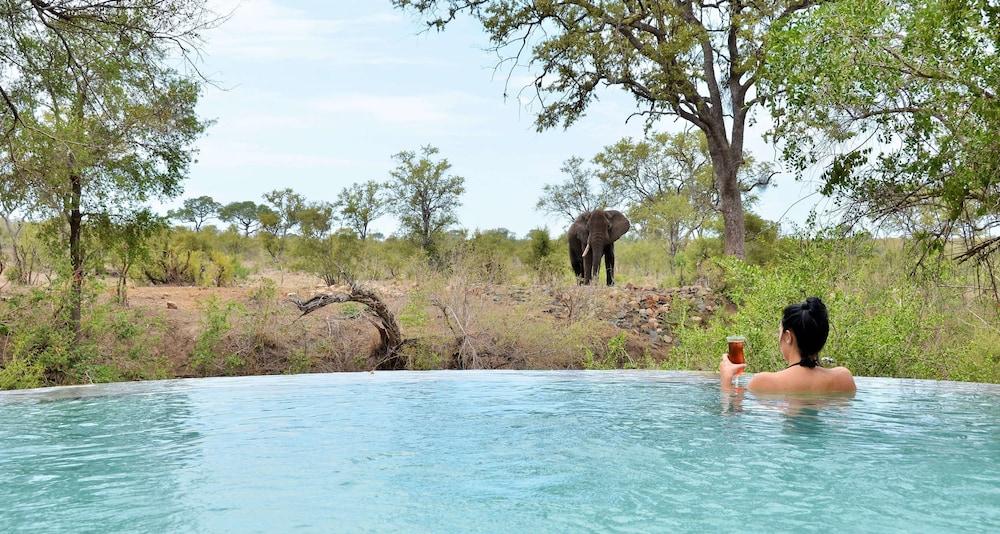 Hoyo Hoyo Safari Lodge Mluwati Concession Exteriör bild