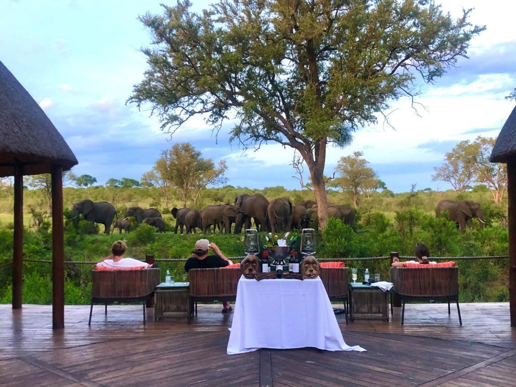 Hoyo Hoyo Safari Lodge Mluwati Concession Exteriör bild